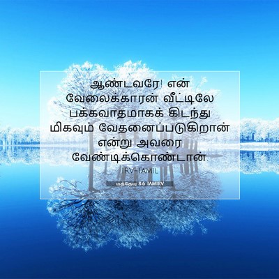 Picture 07 - மத்தேயு 8:6 TAMIRV - ஆண்டவரே! என் - Bible Verse Picture