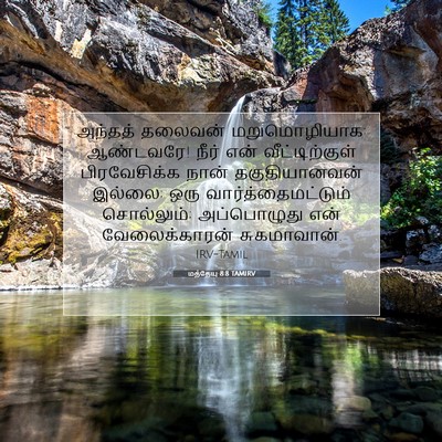 Picture 07 - மத்தேயு 8:8 TAMIRV - அந்தத் தலைவன் - Bible Verse Picture