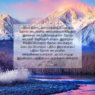 Picture 07 - மத்தேயு 9:17 TAMIRV - புதிய - Bible Verse Picture