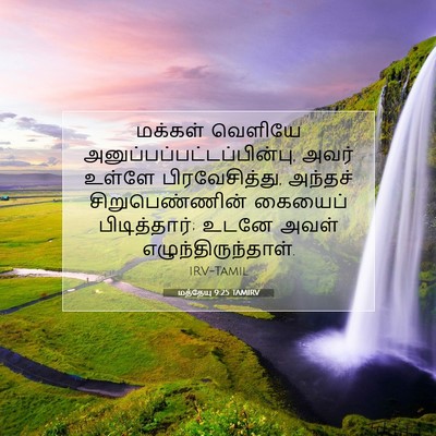 Picture 07 - மத்தேயு 9:25 TAMIRV - மக்கள் வெளியே - Bible Verse Picture