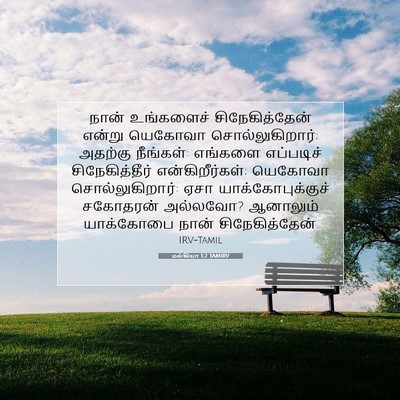 Picture 07 - மல்கியா 1:2 TAMIRV - நான் உங்களைச் - Bible Verse Picture