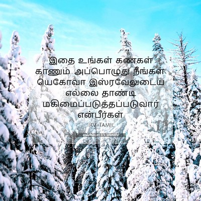 Picture 07 - மல்கியா 1:5 TAMIRV - இதை உங்கள் கண்கள் - Bible Verse Picture