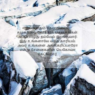 Picture 07 - மல்கியா 1:9 TAMIRV - இப்போதும் - Bible Verse Picture