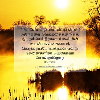 Picture 07 - மல்கியா 2:8 TAMIRV - நீங்களோ - Bible Verse Picture