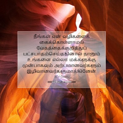 Picture 07 - மல்கியா 2:9 TAMIRV - நீங்கள் என் - Bible Verse Picture