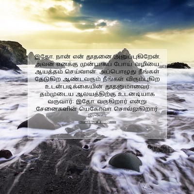 Picture 07 - மல்கியா 3:1 TAMIRV - இதோ, நான் என் தூதனை - Bible Verse Picture