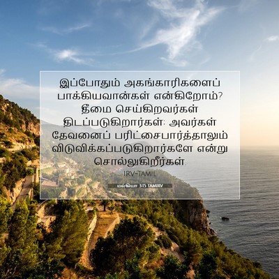 Picture 07 - மல்கியா 3:15 TAMIRV - இப்போதும் - Bible Verse Picture