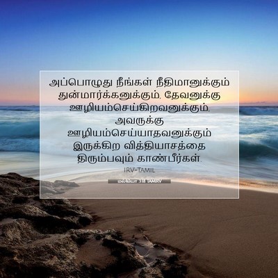 Picture 07 - மல்கியா 3:18 TAMIRV - அப்பொழுது நீங்கள் - Bible Verse Picture