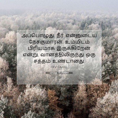 Picture 07 - மாற்கு 1:11 TAMIRV - அப்பொழுது, நீர் - Bible Verse Picture