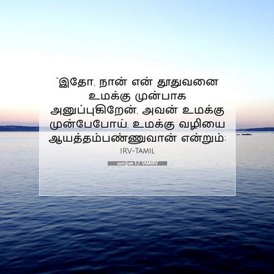 Picture 07 - மாற்கு 1:2 TAMIRV - “இதோ, நான் என் - Bible Verse Picture