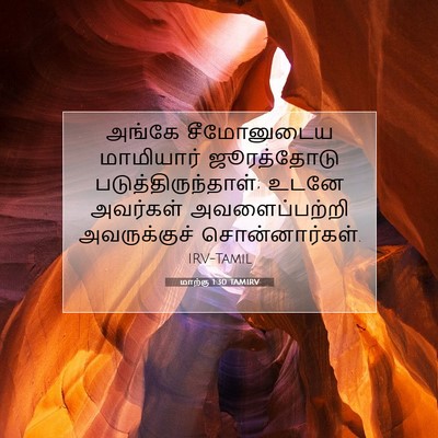 Picture 07 - மாற்கு 1:30 TAMIRV - அங்கே சீமோனுடைய - Bible Verse Picture