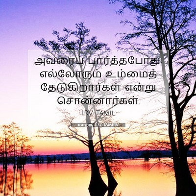 Picture 07 - மாற்கு 1:37 TAMIRV - அவரைப் - Bible Verse Picture