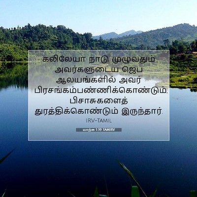 Picture 07 - மாற்கு 1:39 TAMIRV - கலிலேயா நாடு - Bible Verse Picture