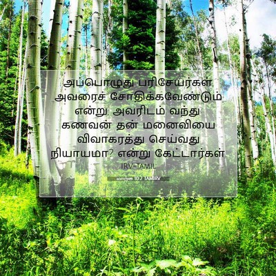 Picture 07 - மாற்கு 10:2 TAMIRV - அப்பொழுது - Bible Verse Picture