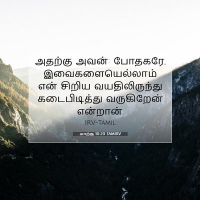 Picture 07 - மாற்கு 10:20 TAMIRV - அதற்கு அவன்: - Bible Verse Picture