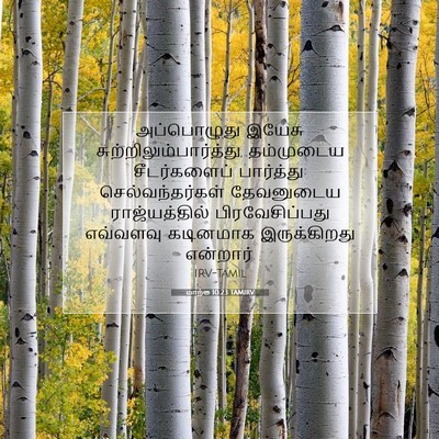 Picture 07 - மாற்கு 10:23 TAMIRV - அப்பொழுது இயேசு - Bible Verse Picture