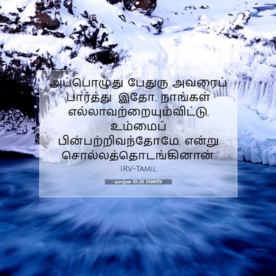 Picture 07 - மாற்கு 10:28 TAMIRV - அப்பொழுது பேதுரு - Bible Verse Picture