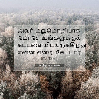 Picture 07 - மாற்கு 10:3 TAMIRV - அவர் மறுமொழியாக: - Bible Verse Picture