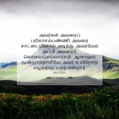 Picture 07 - மாற்கு 10:34 TAMIRV - அவர்கள் அவரைப் - Bible Verse Picture
