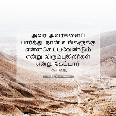 Picture 07 - மாற்கு 10:36 TAMIRV - அவர் அவர்களைப் - Bible Verse Picture