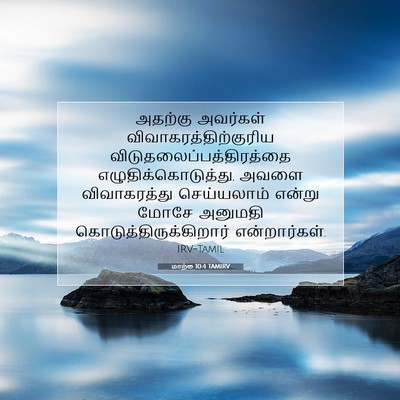 Picture 07 - மாற்கு 10:4 TAMIRV - அதற்கு அவர்கள் - Bible Verse Picture
