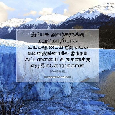 Picture 07 - மாற்கு 10:5 TAMIRV - இயேசு அவர்களுக்கு - Bible Verse Picture