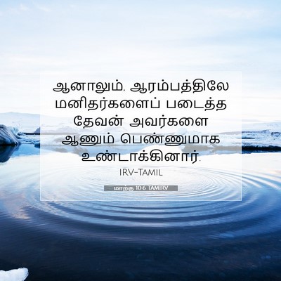 Picture 07 - மாற்கு 10:6 TAMIRV - ஆனாலும், - Bible Verse Picture