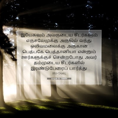 Picture 07 - மாற்கு 11:1 TAMIRV - இயேசுவும் அவருடைய - Bible Verse Picture