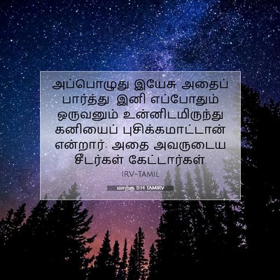 Picture 07 - மாற்கு 11:14 TAMIRV - அப்பொழுது இயேசு - Bible Verse Picture