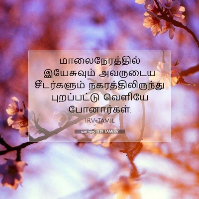 Picture 07 - மாற்கு 11:19 TAMIRV - மாலைநேரத்தில் - Bible Verse Picture