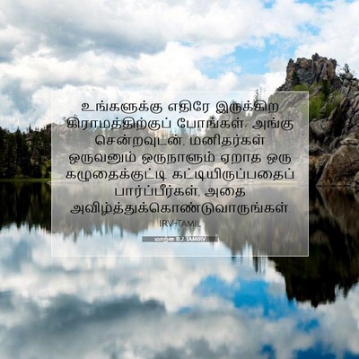 Picture 07 - மாற்கு 11:2 TAMIRV - உங்களுக்கு எதிரே - Bible Verse Picture