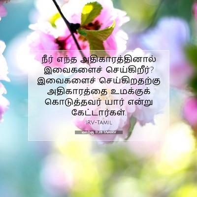 Picture 07 - மாற்கு 11:28 TAMIRV - நீர் எந்த - Bible Verse Picture