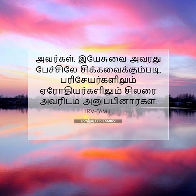 Picture 07 - மாற்கு 12:13 TAMIRV - அவர்கள், இயேசுவை - Bible Verse Picture