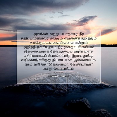 Picture 07 - மாற்கு 12:14 TAMIRV - அவர்கள் வந்து: - Bible Verse Picture