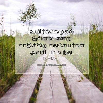 Picture 07 - மாற்கு 12:18 TAMIRV - உயிர்த்தெழுதல் - Bible Verse Picture