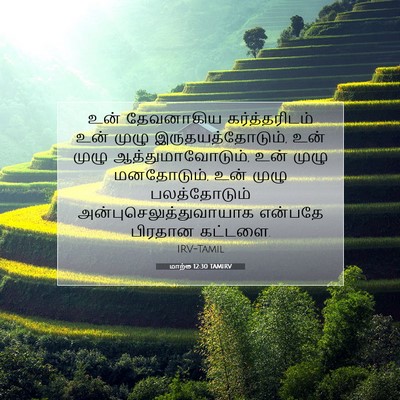 Picture 07 - மாற்கு 12:30 TAMIRV - உன் தேவனாகிய - Bible Verse Picture