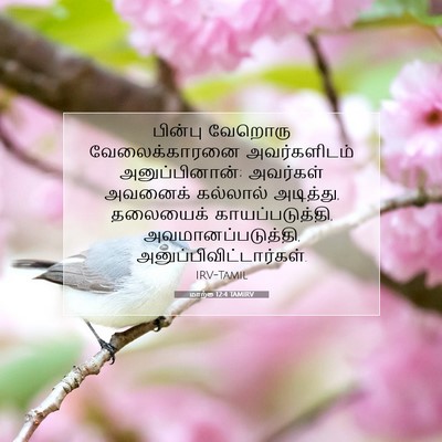 Picture 07 - மாற்கு 12:4 TAMIRV - பின்பு வேறொரு - Bible Verse Picture