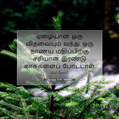 Picture 07 - மாற்கு 12:42 TAMIRV - ஏழையான ஒரு - Bible Verse Picture
