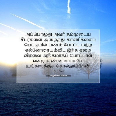 Picture 07 - மாற்கு 12:43 TAMIRV - அப்பொழுது அவர் - Bible Verse Picture
