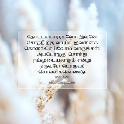 Picture 07 - மாற்கு 12:7 TAMIRV - தோட்டக்காரர்களோ: - Bible Verse Picture