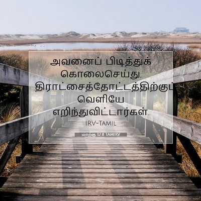 Picture 07 - மாற்கு 12:8 TAMIRV - அவனைப் பிடித்துக் - Bible Verse Picture
