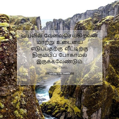 Picture 07 - மாற்கு 13:16 TAMIRV - வயலில் - Bible Verse Picture