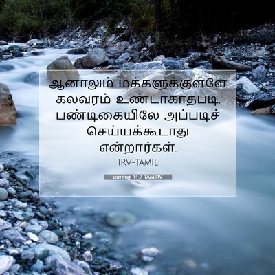 Picture 07 - மாற்கு 14:2 TAMIRV - ஆனாலும் - Bible Verse Picture