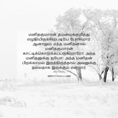 Picture 07 - மாற்கு 14:21 TAMIRV - மனிதகுமாரன் - Bible Verse Picture