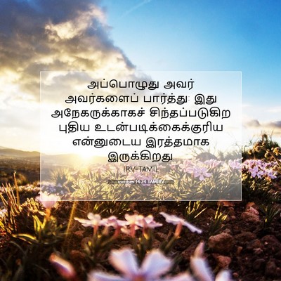Picture 07 - மாற்கு 14:24 TAMIRV - அப்பொழுது அவர் - Bible Verse Picture