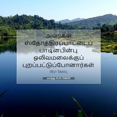 Picture 07 - மாற்கு 14:26 TAMIRV - அவர்கள் - Bible Verse Picture