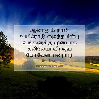 Picture 07 - மாற்கு 14:28 TAMIRV - ஆனாலும் நான் - Bible Verse Picture