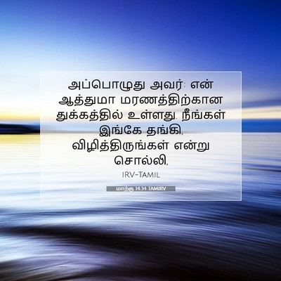 Picture 07 - மாற்கு 14:34 TAMIRV - அப்பொழுது அவர்: - Bible Verse Picture