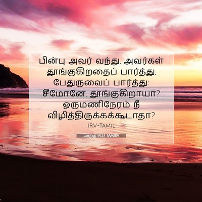 Picture 07 - மாற்கு 14:37 TAMIRV - பின்பு அவர் வந்து, - Bible Verse Picture