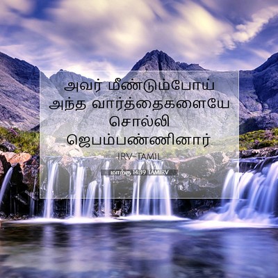 Picture 07 - மாற்கு 14:39 TAMIRV - அவர் மீண்டும்போய் - Bible Verse Picture